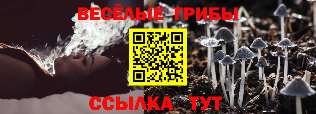 Трёхгорный  Псилоцибиновые грибы MAGIC MUSHROOMS  Галлюциногенные грибы MAGIC MUSHROOMS  Вход с VPN 